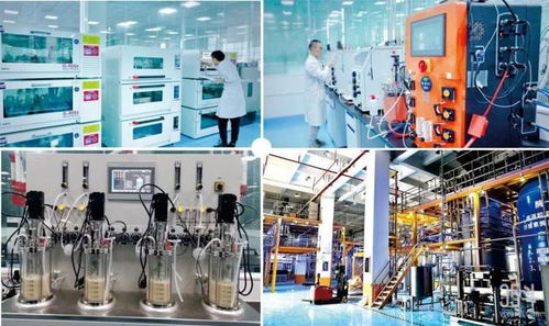 從營銷到自主研發 漢和生物如何建造合成生物學細胞工廠的智能卡系統研發體系